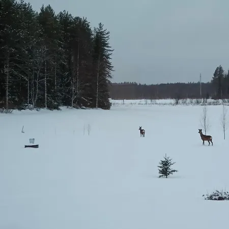 Kontion Keidas Maaseudulla Varattavissa Myoes Takkatupa Ja Sauna * 오울루